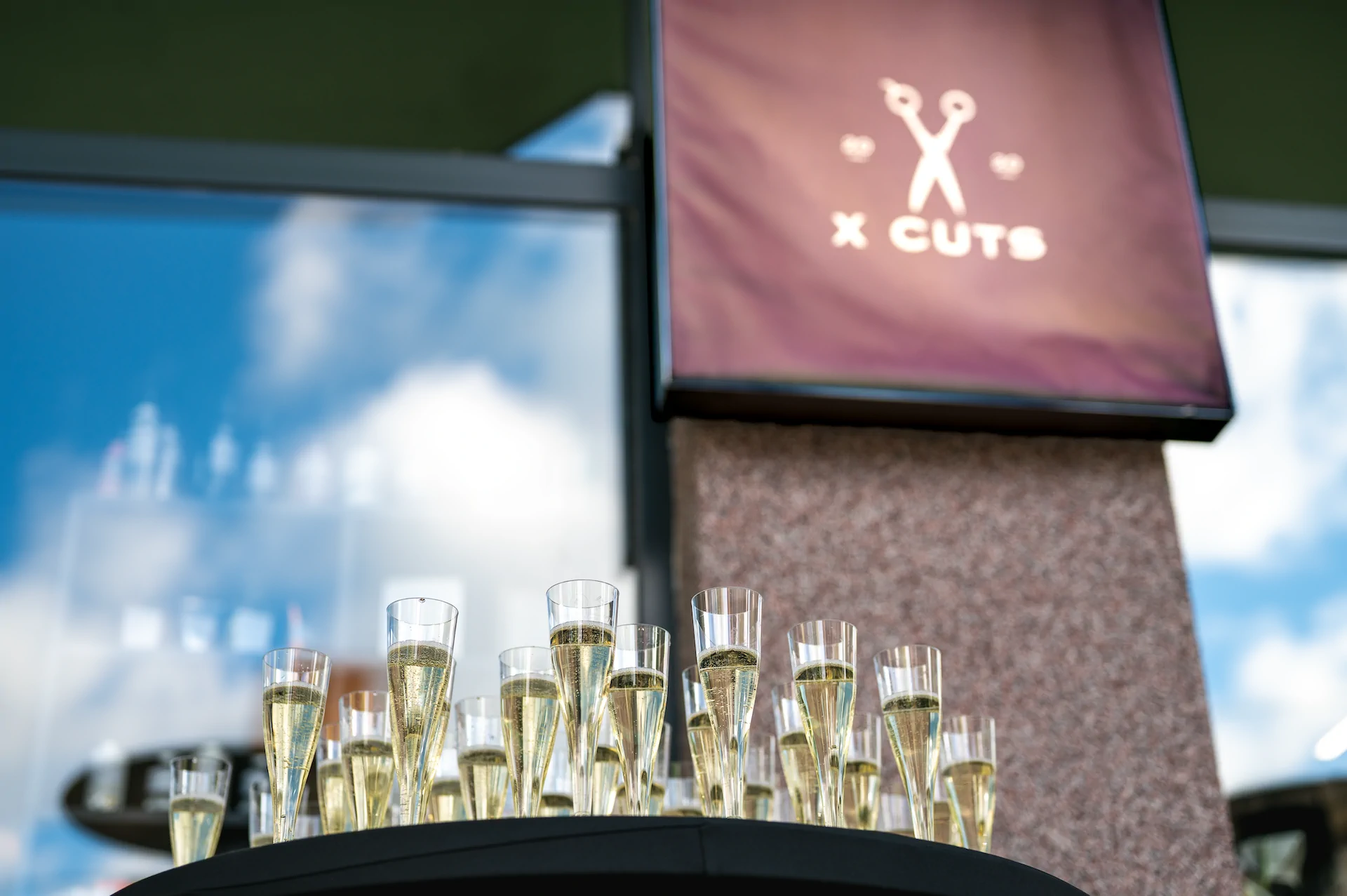 Галерия снимка 8